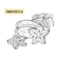 Carambola or Starfruit. Coloring book for kids. Tropical fruit and pieces on white background.Summer vector